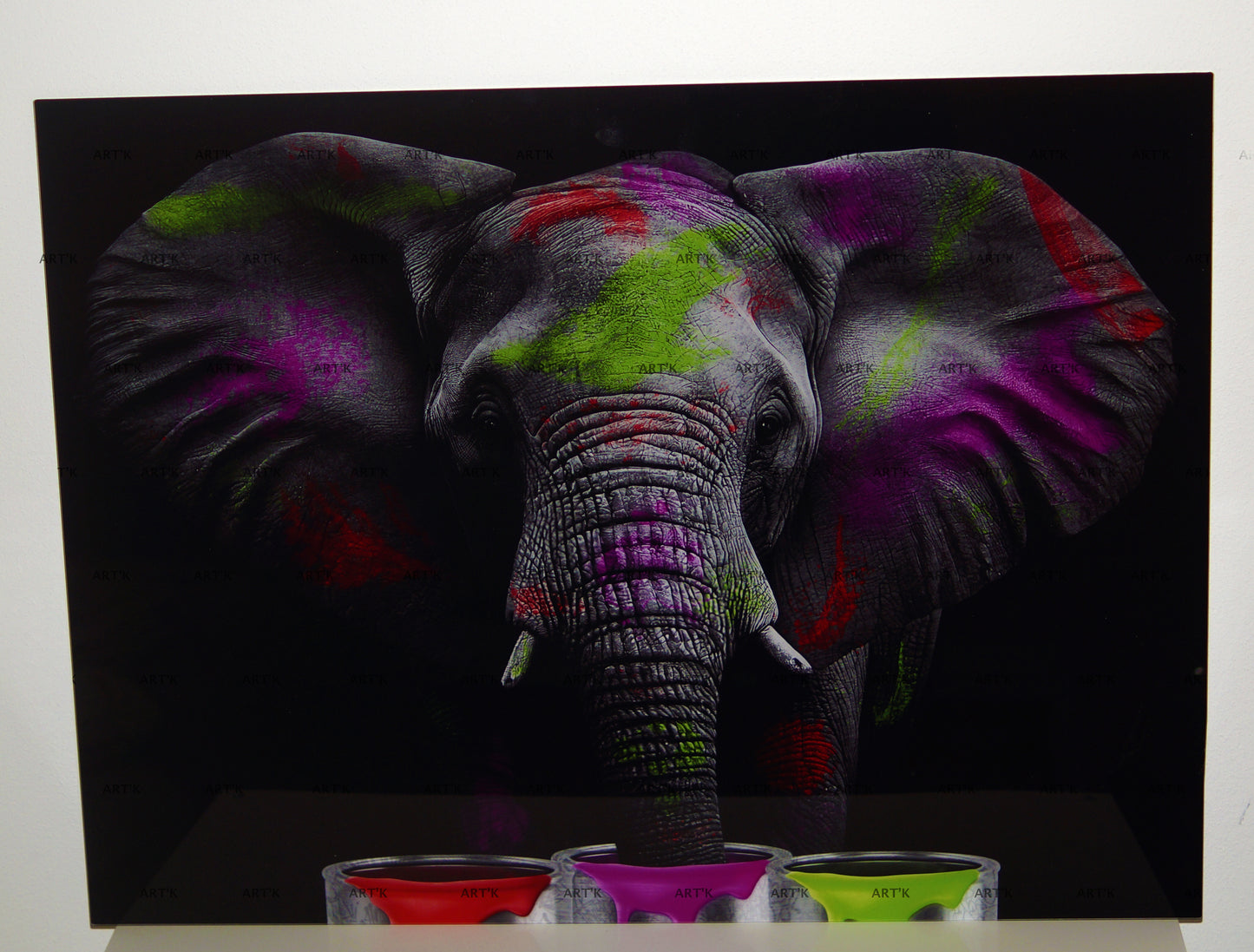 Eléphant couleurs F